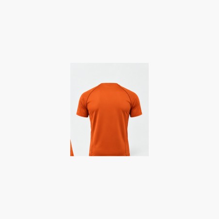 PULSE TS-H02 - back